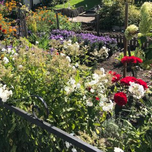 Garten mit Blumen